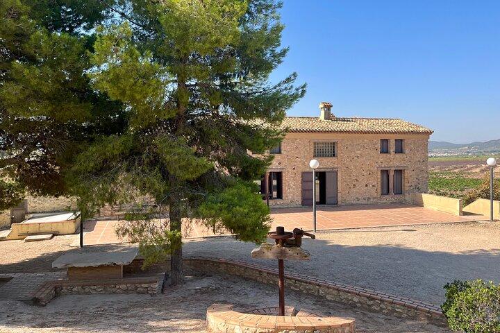 Winery Tour with 7 Wine Tasting and Small Group Guadalest