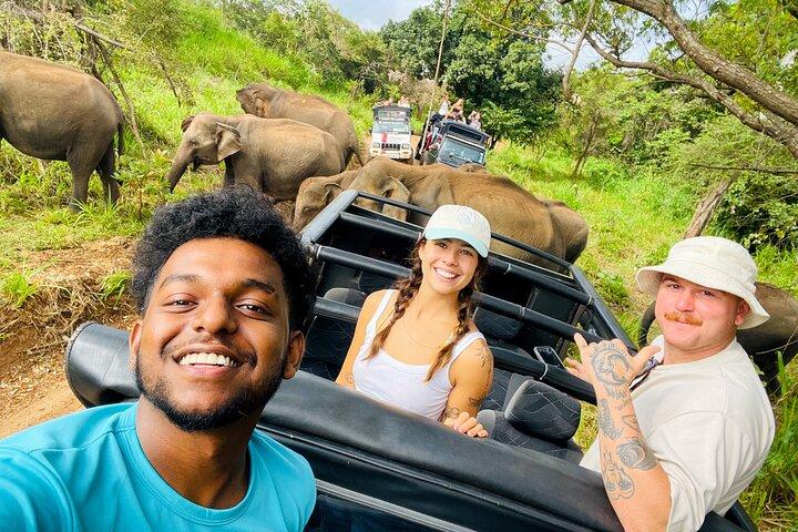 Minneriya premium Elephant Safari with expert Guide