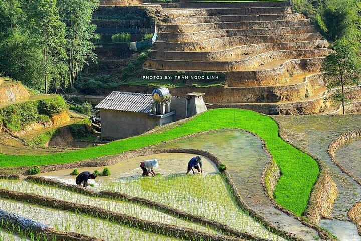 Sapa Highlights Getaway: 2-Day Journey with Luxury 5-Star Stay