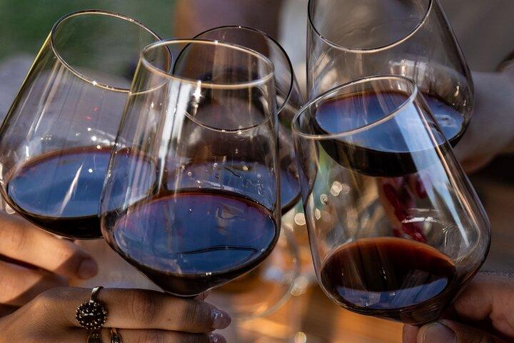From Abano and Montegrotto: Wine Tour in the Euganean Hills