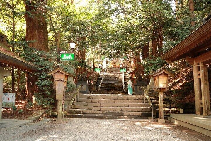 Kumamoto Route Bus 1 Day Trip: Takachiho Gorge and Local Lunch
