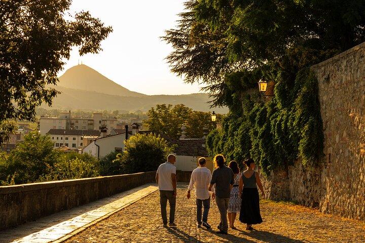 From Padua: Tour to the walled town of Monselice