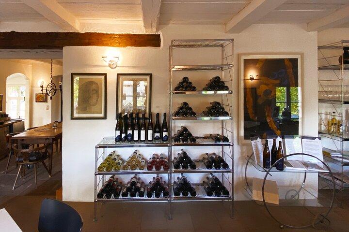 Wine tasting at the winery 3 wines 100% enjoyment