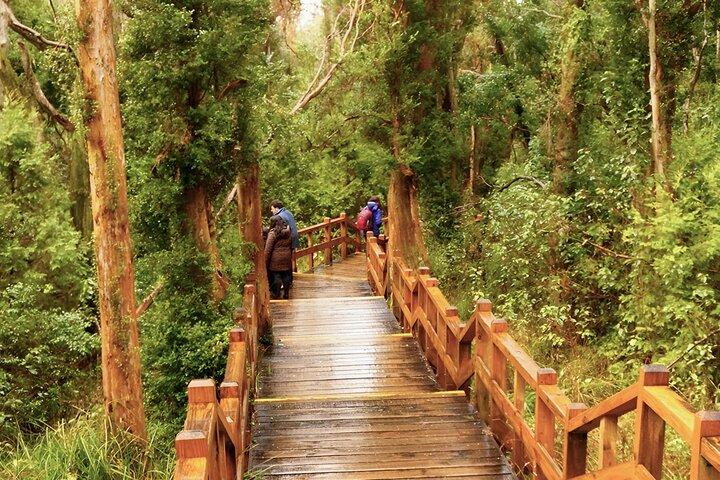 2-Day Bariloche Highlights with optional Airfare