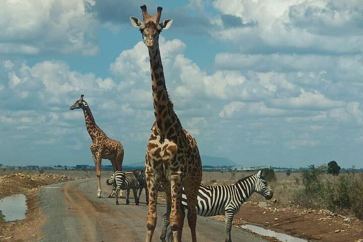 Nairobi National Park, Giraffe Center and Cultural Dances Tour