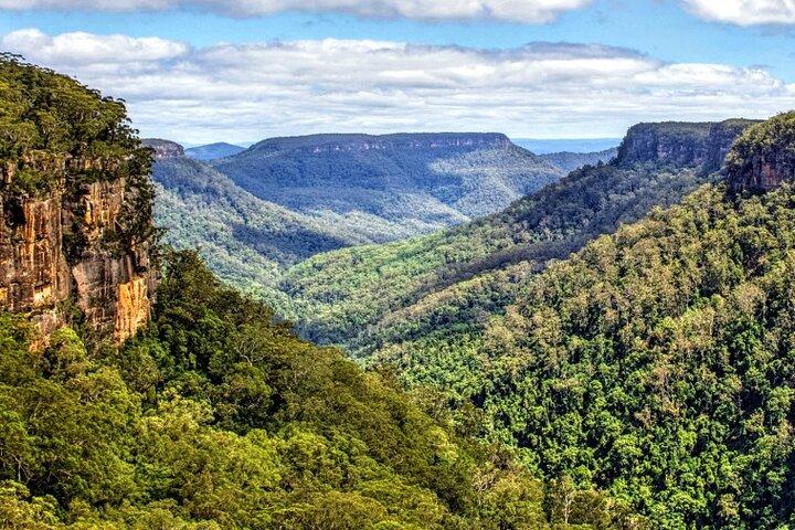 Wildlife, Wineries and History || Luxury Private Tour From Sydney