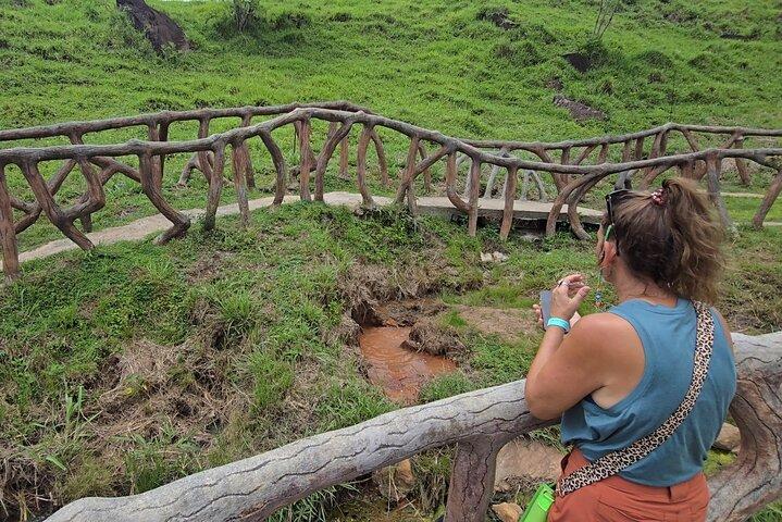 Sloth Discovery and Hot Springs Tour in Costa Rica
