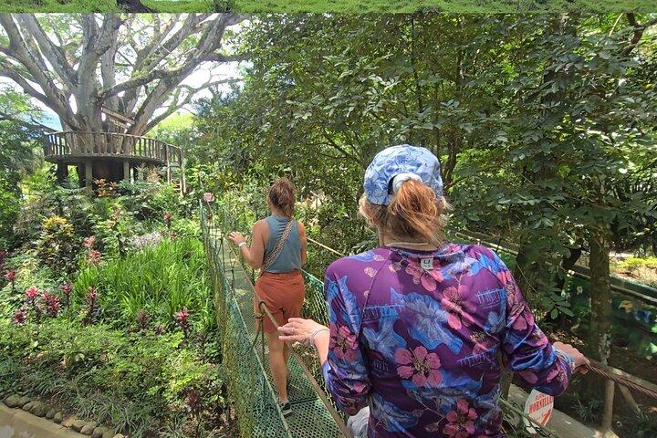 Sloth Discovery and Hot Springs Tour in Costa Rica