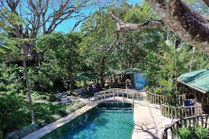 Sloth Discovery and Hot Springs Tour in Costa Rica