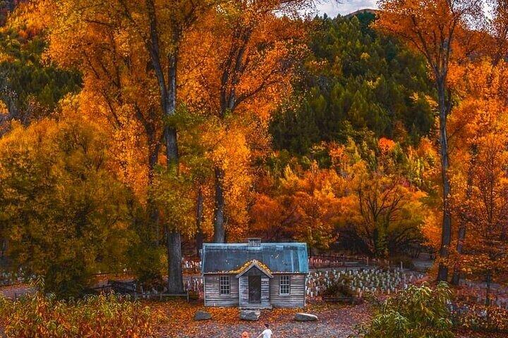 Queenstown to Christchurch One Way Tour Via Lake Tekapo & Mt Cook