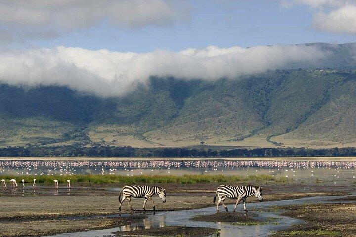 10 Days Kenya Wildlife Safari and Mombasa Diani Beach Holidays