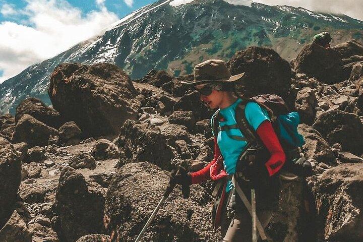 6 Days Mountain Kilimanjaro Trekking Marangu Route