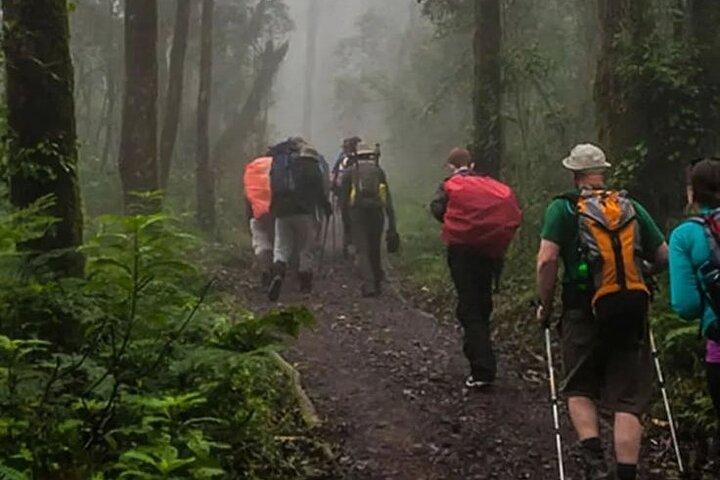 6 Days Mountain Kilimanjaro Trekking Marangu Route