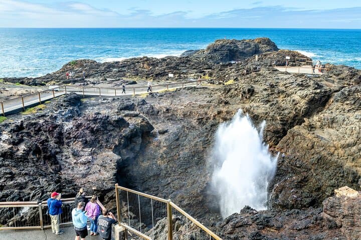 Sea Cliff Bridge, Kiama Blowhole, Beaches & Wildlife Small Group