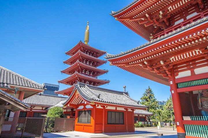 Tokyo Morning Tour Meiji Shrine, Asakusa and Local temple