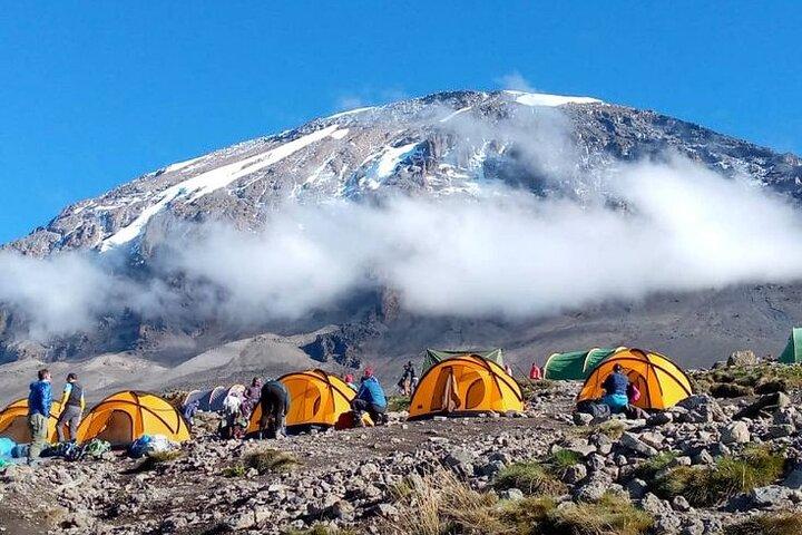8 Days Mount Kilimanjaro Private Guided Trekking