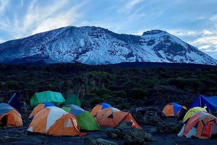 8 Days Mount Kilimanjaro Private Guided Trekking