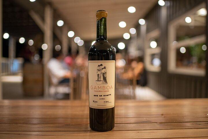 Bodega Gamboa Premium Wine Tasting with Lunch