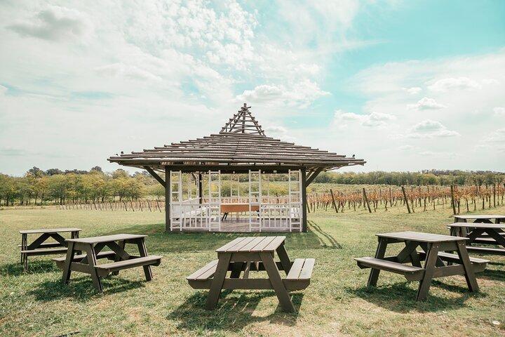 Bodega Gamboa Premium Wine Tasting with Lunch