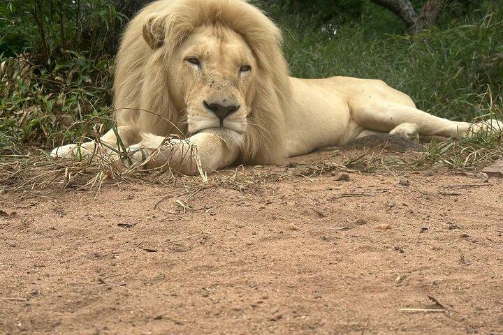 Blyde Boat Cruise & Moholoholo Animal Encounter Tour
