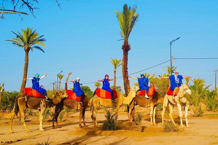 Camel Ride in the Palmeraie of Marrakech