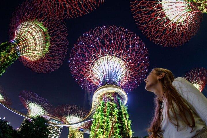 Private Tour: Singapore River Cruise & 2 Top-visit Light shows