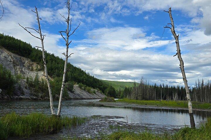 Chena Hot Springs Tour: Relax in Natural Mineral Waters