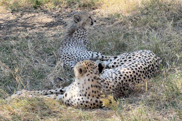 Sekei Area Private Guided Expedition