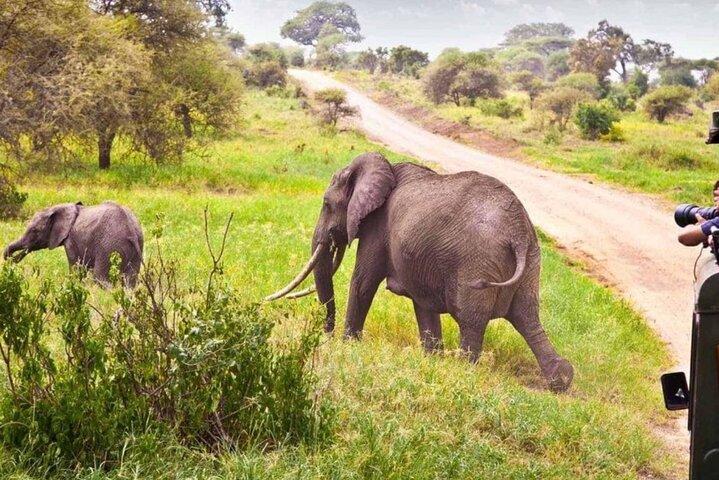 2 Day Kruger National Park Safari from Johannesburg