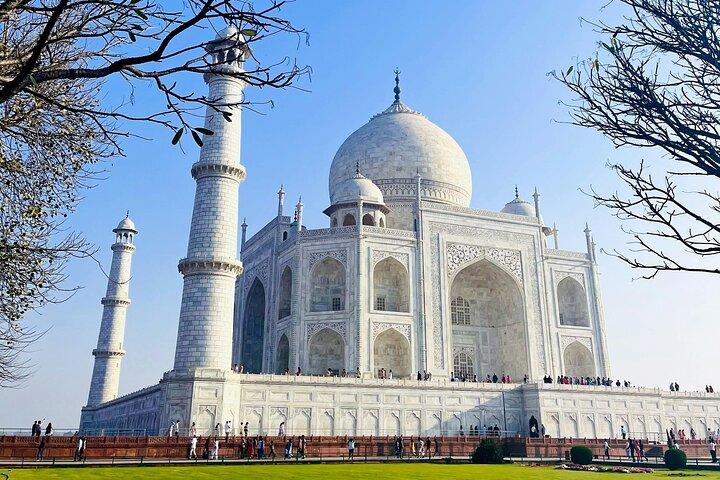Private Taj Mahal at Sunrise and Agra Day Tour from Delhi