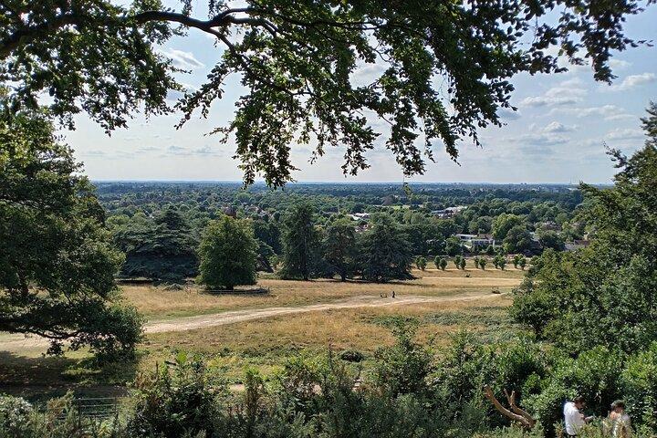 London E-Bike Tour | Richmond Park Deer & Hidden Gems