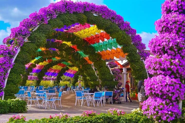 Skip the Line Ticket to Dubai Miracle Garden and Transfer Option