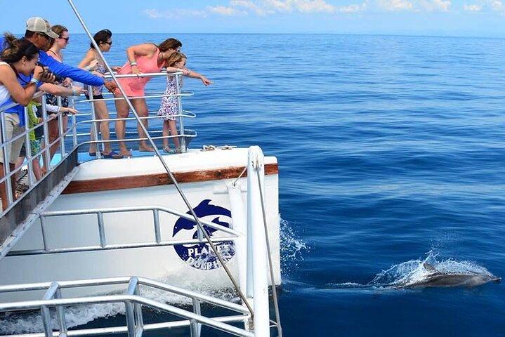 Snorkeling and Sunset Catamaran Cruise from Tamarindo