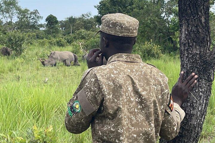 1 Day Ziwa Rhino Sanctuary Safari and Wildlife Tour, Uganda