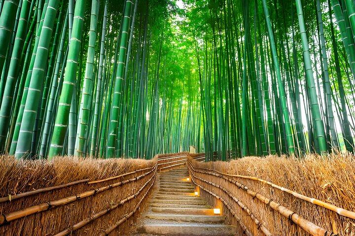 Kyoto, Osaka and Nara Customized Private Car tour