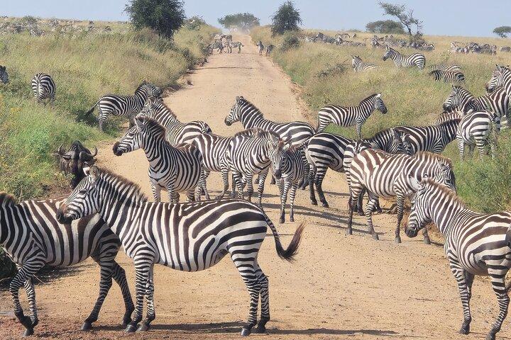 5-Days Tanzania Safari and Cultural Adventure