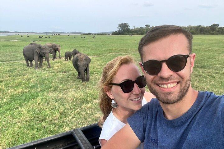Minneriya National Park Safari | From Sigiriya