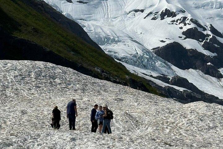 Glacier View & Wildlife Anchorage Adventure Tour