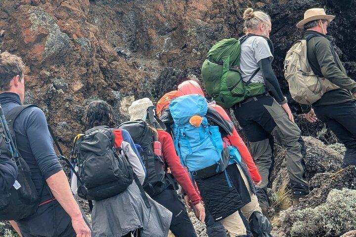 7 Days Adventure Machame Route