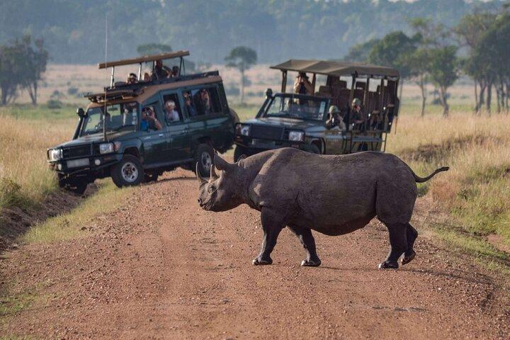 Nairobi's Wilderness for a 5 Day Tour Experience