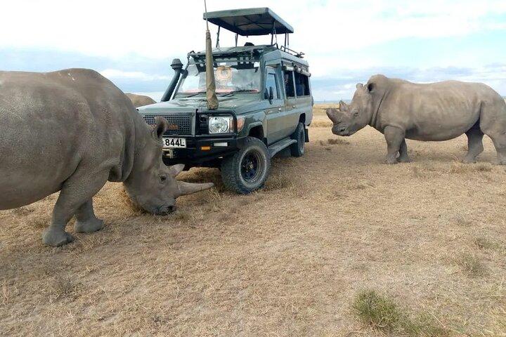 10 Days Kenya Wildlife Safari and Mombasa Diani Beach Holidays
