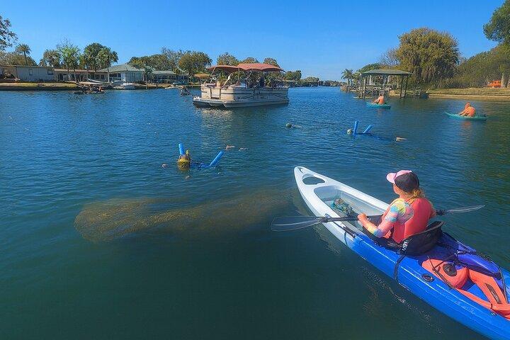 Crystal River: Three Sisters Clear Kayak and Snorkeling Tour