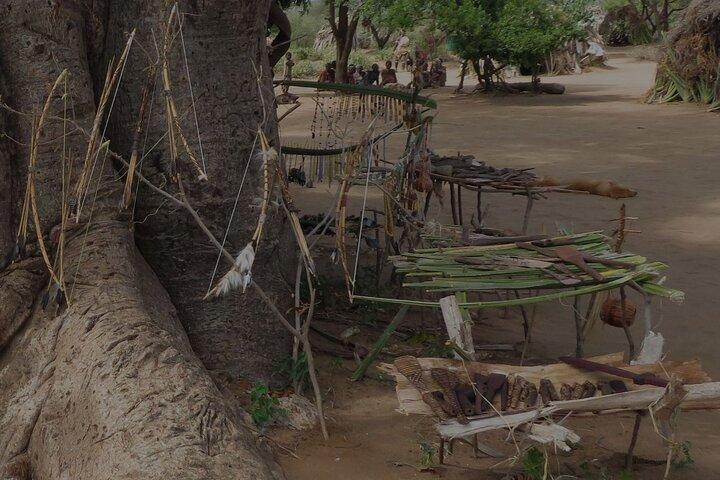 Authentic Maasai and Hadzabe Cultural Experience