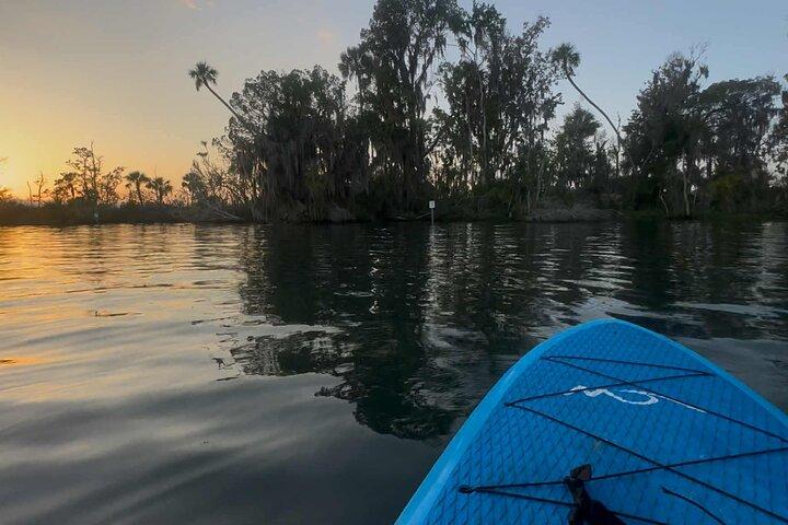 Crystal River: Three Sisters Paddleboarding and Snorkeling Tour