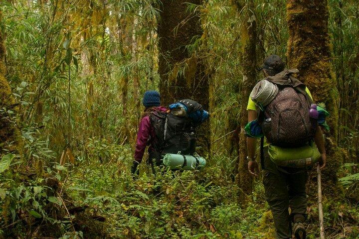 LLanos Del Cortes Waterfall Adventure and Liberia City Tour