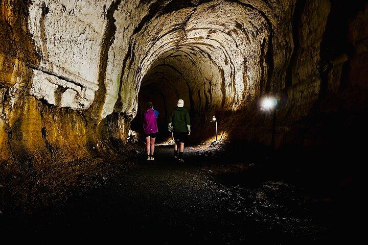 Transfer Baltra to Santa Cruz + Galapagos Tortoise Visit | Shared