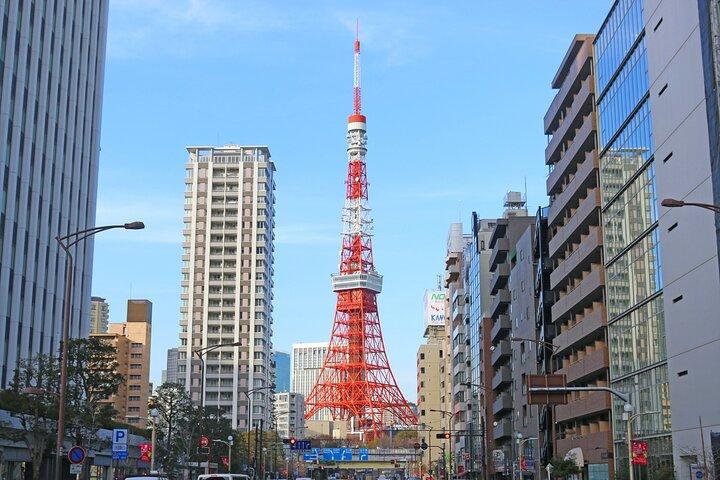 Tokyo Walking Tour : Sumo, Sushi, Tea, Temples and Tokyo Tower
