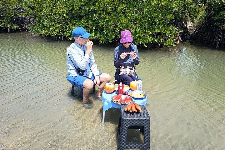 Negombo Lagoon Boat Safari Hotel Pickup(Monkey,Mangrove)