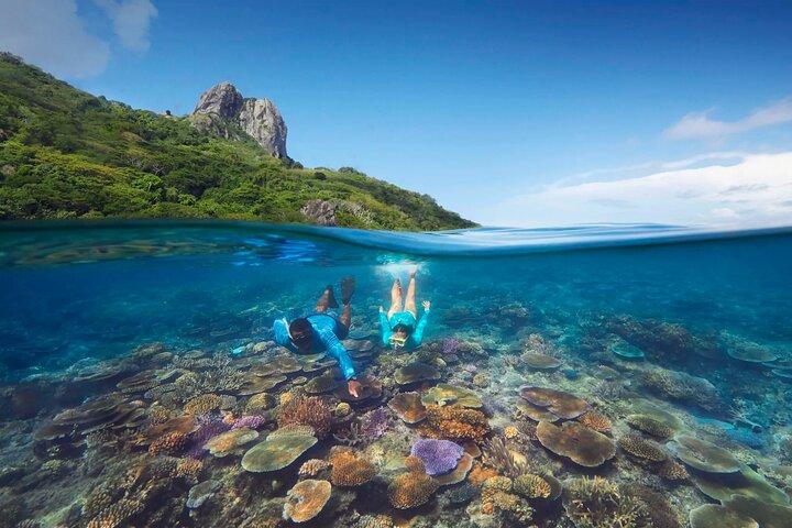 Kuata Island Marine Conservation Experience with Lunch