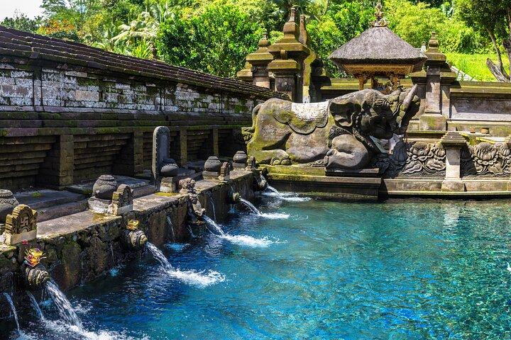 Private Ubud Custom Day Trip in Bali